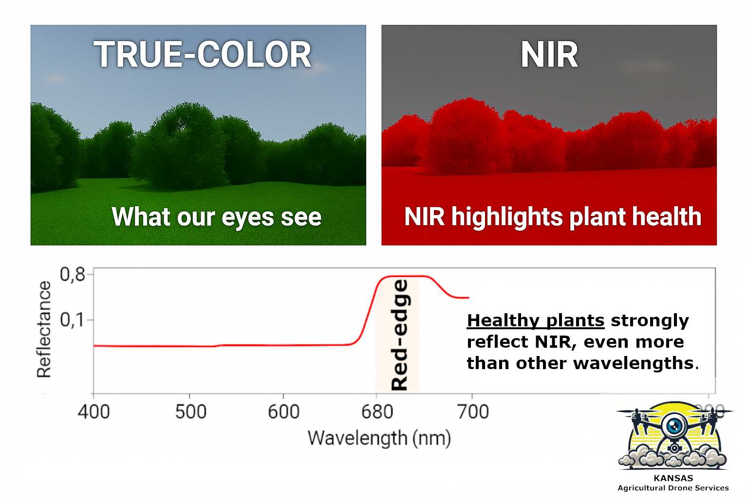 Digital Photography, Multispectral Scouting, and Seeing Beyond the Human Eye