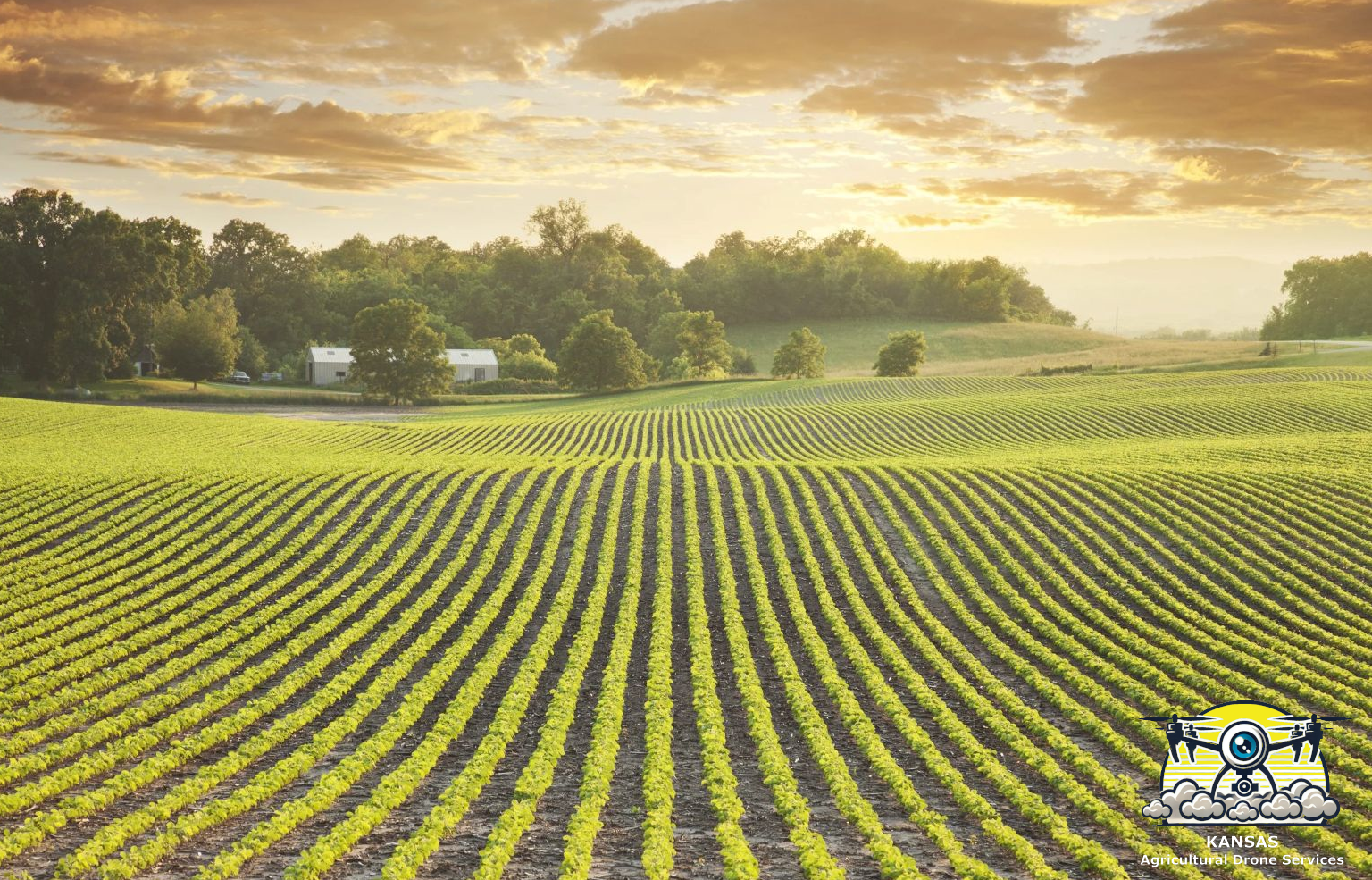 Ag Drones have many roles in Regenerative Agriculture